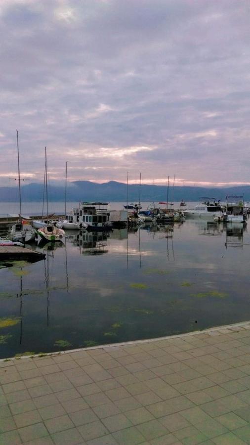 Apartmani Nina Golubac Exterior foto